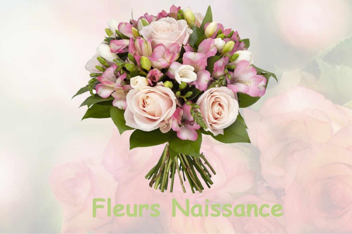 fleurs naissance RANCHOT